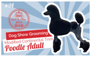 How to do a Modified Continental on a Poodle