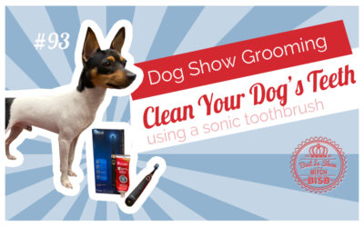 Dog Show Grooming: How To Use Sonic Toothbrush on Your Dog’s Teeth