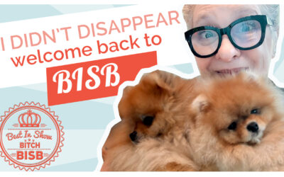 Welcome Back to BISB