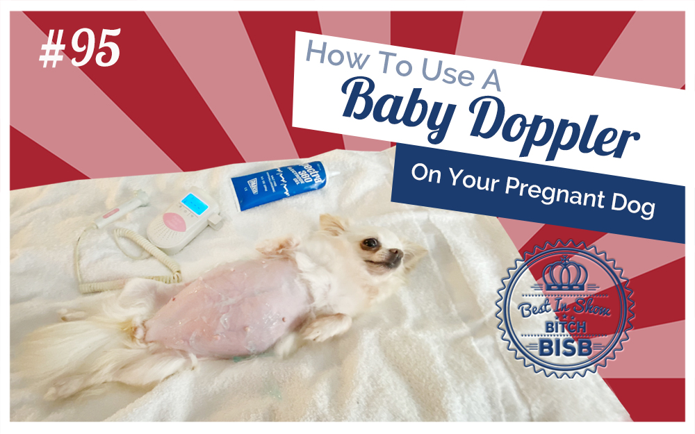 How to Use a Baby Doppler on Your Pregnant Dog