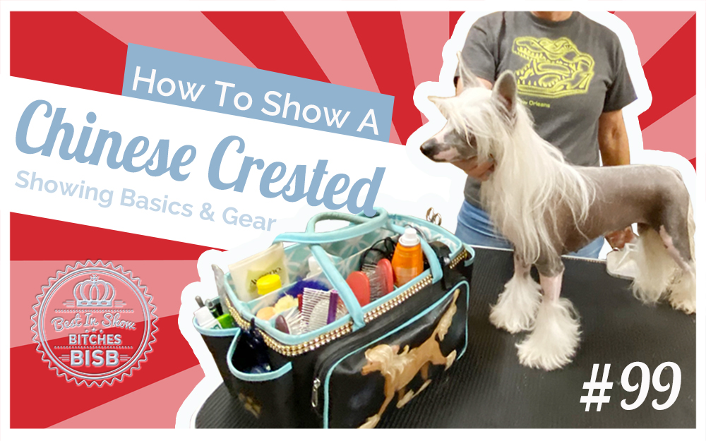 How to Show a Chinese Crested at a Dog Show
