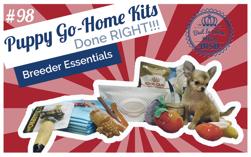 Building the Ultimate Puppy Go-Home Kit