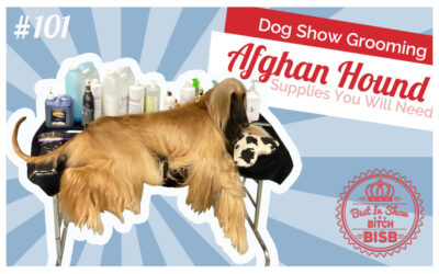Afghan Hound Grooming Essentials | Tools, Products & Pro Tips