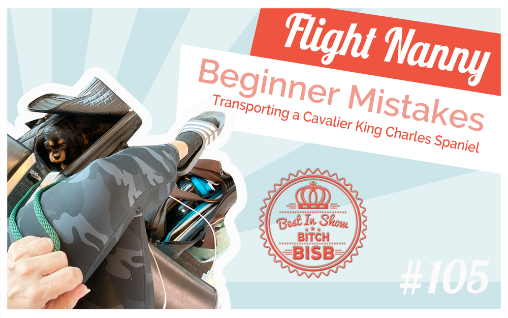 Flight Nanny Beginner Mistakes | Transporting a Cavalier King Charles Spaniel for Breeding
