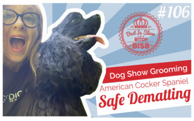 How to Brush Out Mats on a Cocker Spaniel (Safe Dematting Method)