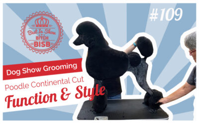 Why Poodles Have a Continental Cut