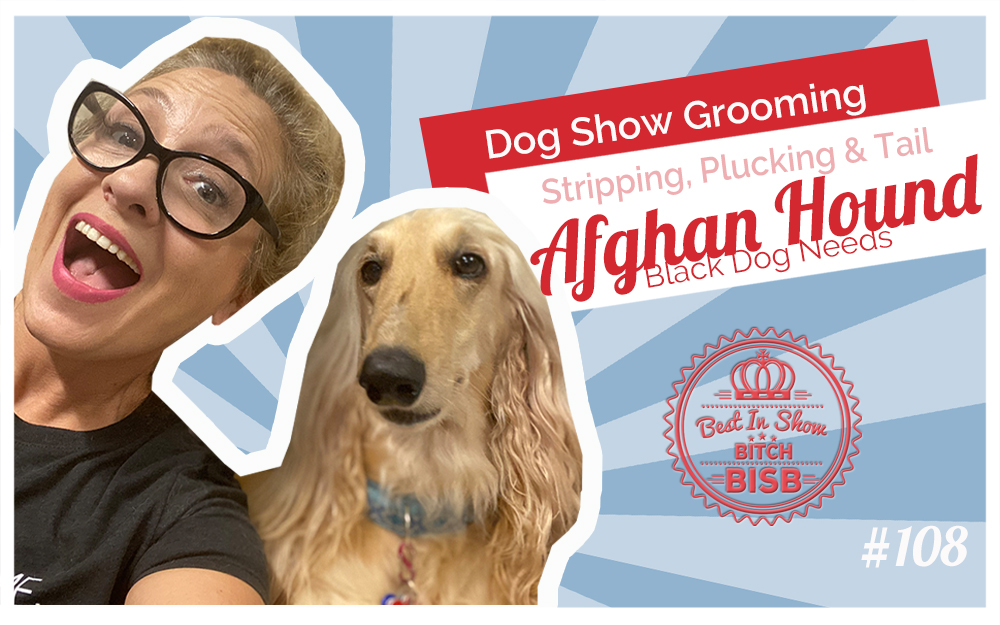 How to Groom an Afghan Hound for a Dog Show Stripping, Pulling & Tail