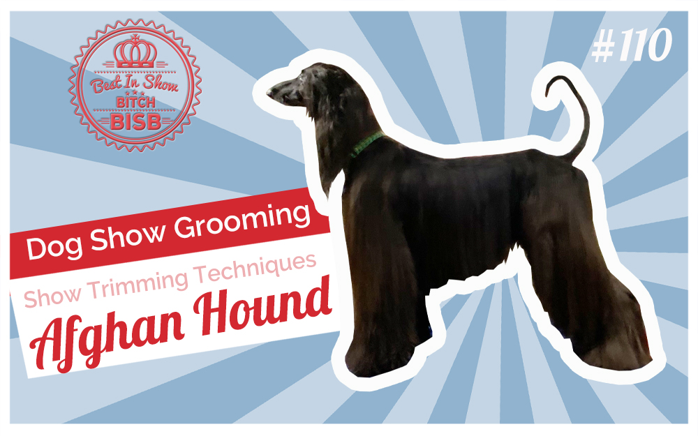 How to Trim an Afghan Hound for a Dog Show | Grooming Techniques with Jennifer Pearce
